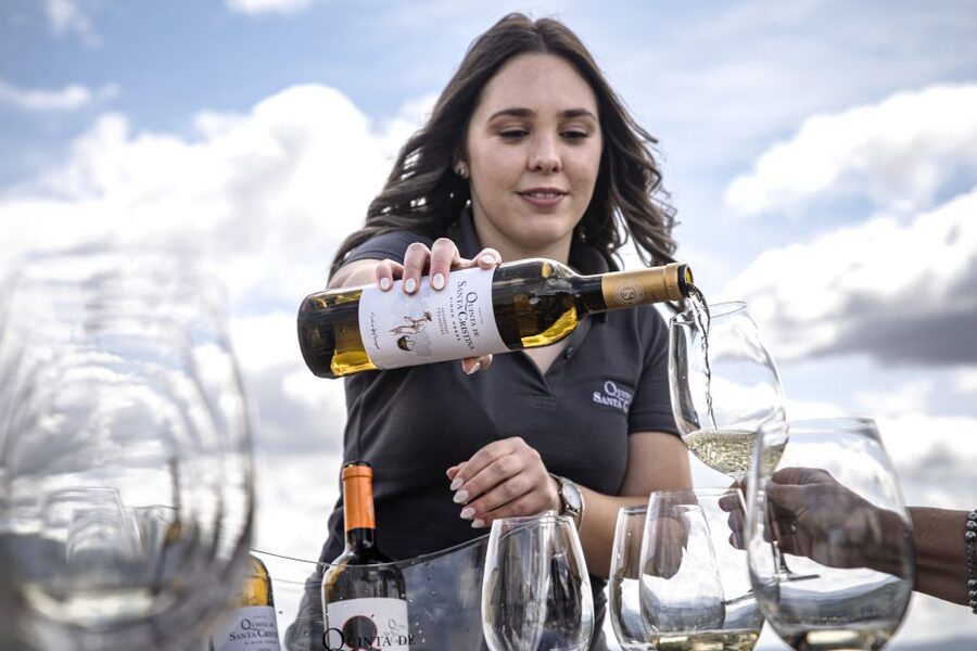 Celorico De Basto: Quinta de Santa Cristina Winery Tour - Why this winery visit works as a northern Portugal outing