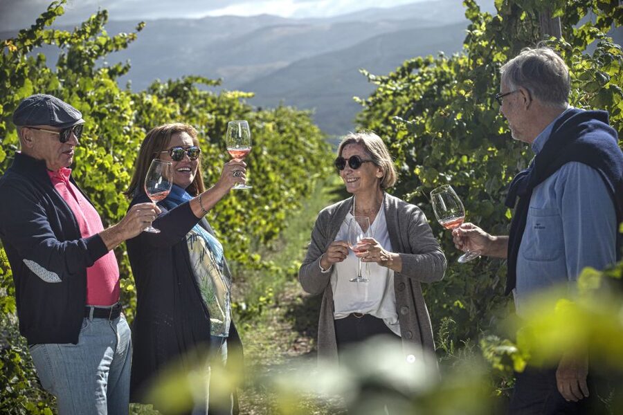 Celorico De Basto: Quinta de Santa Cristina Winery Tour - The guide and language experience