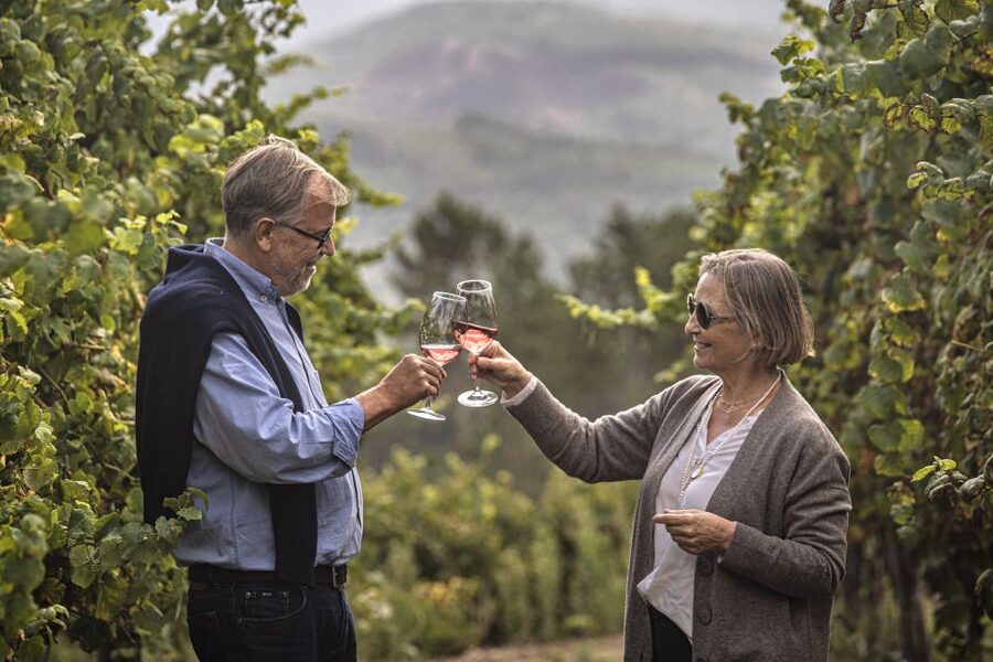 Celorico De Basto: Quinta de Santa Cristina Winery Tour - Inside the winery for another 20 minutes