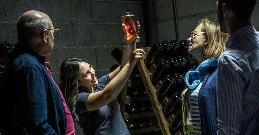 Celorico De Basto: Quinta de Santa Cristina Winery Tour - An hour of wine, tapas, and questions