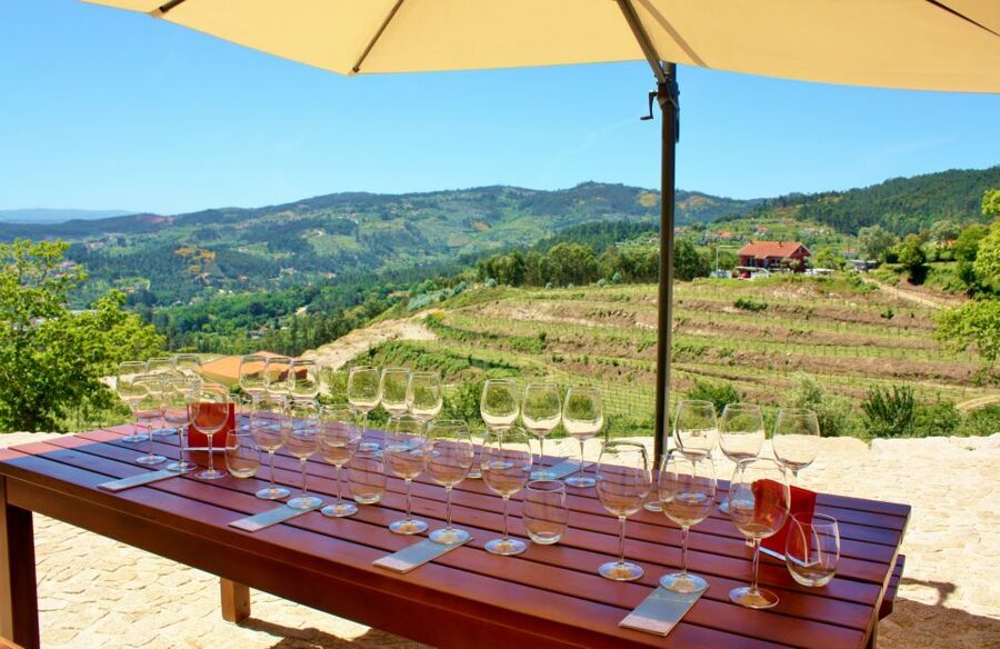 Celorico De Basto: Quinta de Santa Cristina Winery Tour - Is $28 a fair price?