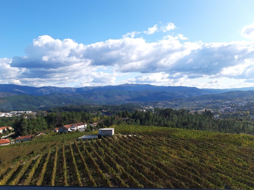 Celorico De Basto: Quinta de Santa Cristina Winery Tour - How to fit it into a Portugal itinerary