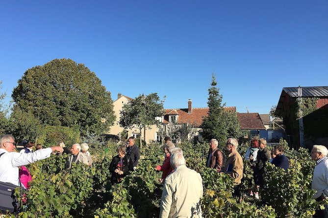 Chablis Tour and Tasting at Domaine Clotilde Davenne in French - Who will get the most from this visit