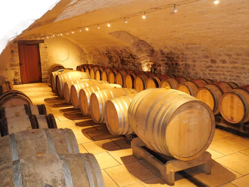 Chablis: Tour and tasting Family-run winery - Seeing Chablis through a family estate