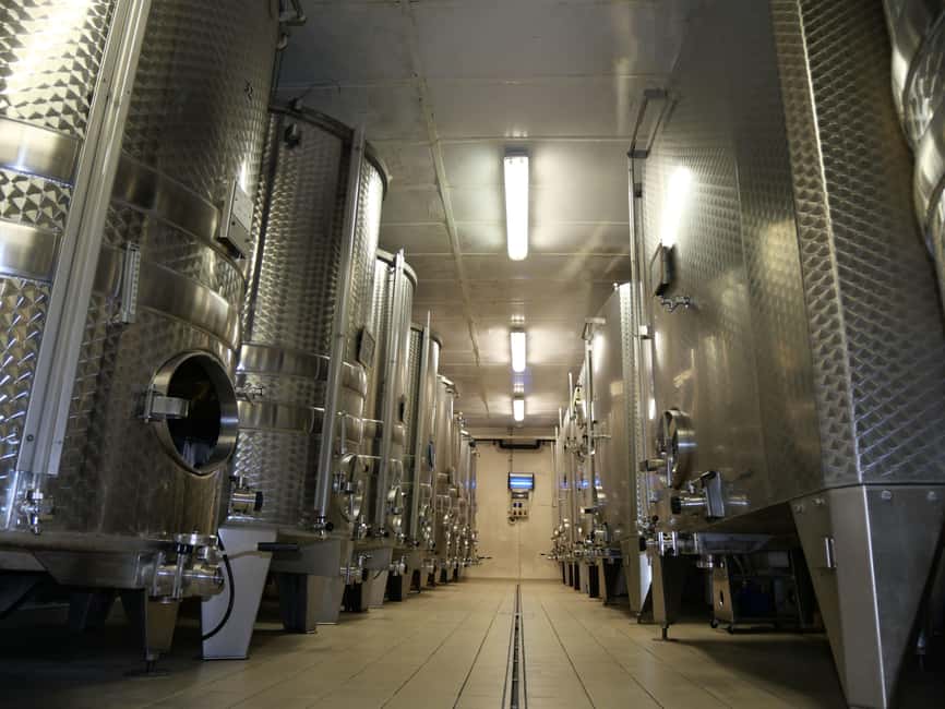 Chablis: Tour and tasting Family-run winery - The 90-minute route from grape to bottle