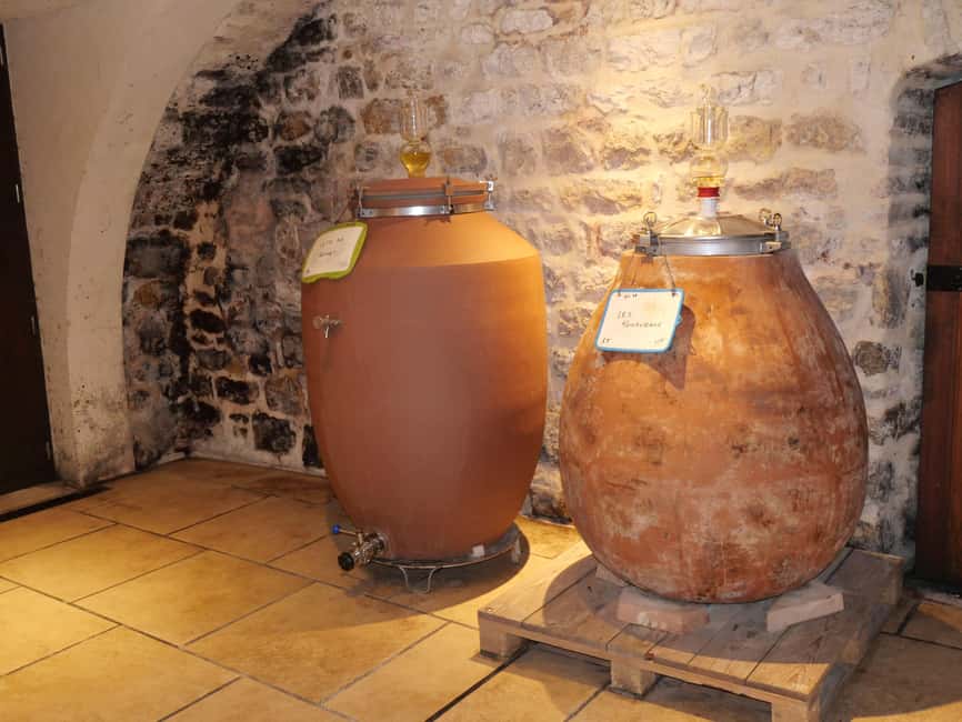 Chablis: Tour and tasting Family-run winery - Why the Pinot Noir matters