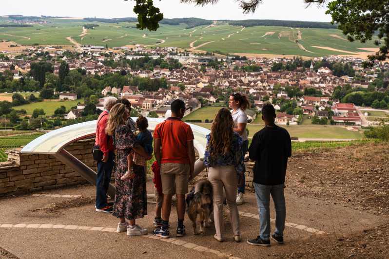 Chablis: Visit of the Grand Cru vineyard - Key points to know before booking