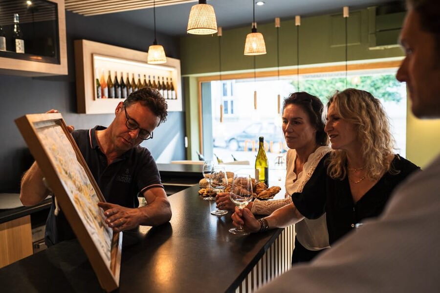 Chablis: Visit of the Grand Cru vineyard - Why the Chablis Grand Cru vines matter