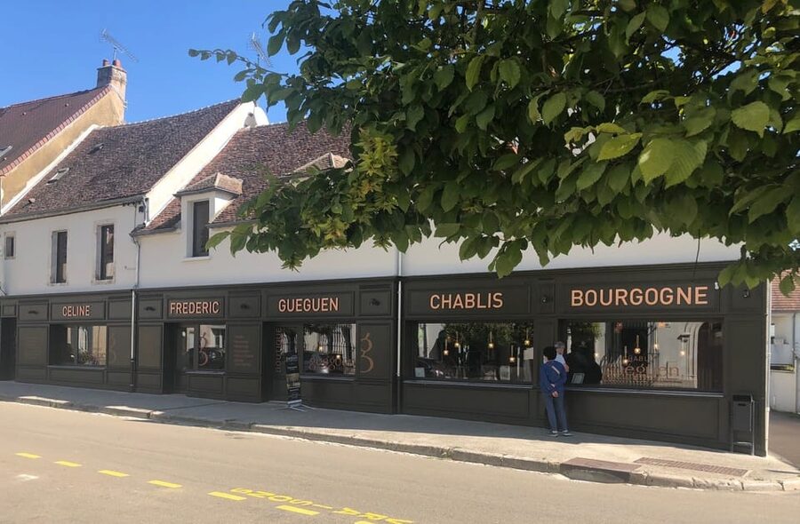 Chablis: Visit of the Grand Cru vineyard - Walking the vines for about 50 minutes