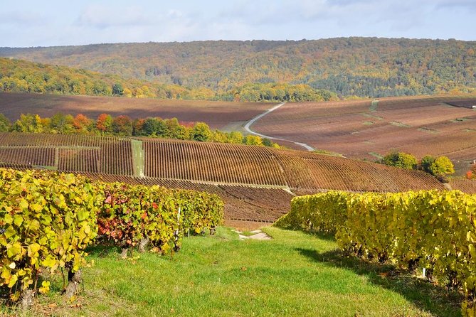 Champagne Area Small-Group Tour including a Top Champagne house & Family Winery - Key points to know before you book