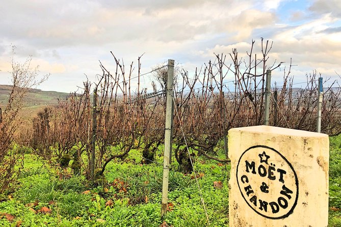 Champagne Area Small-Group Tour including a Top Champagne house & Family Winery - Why this Champagne day trip works