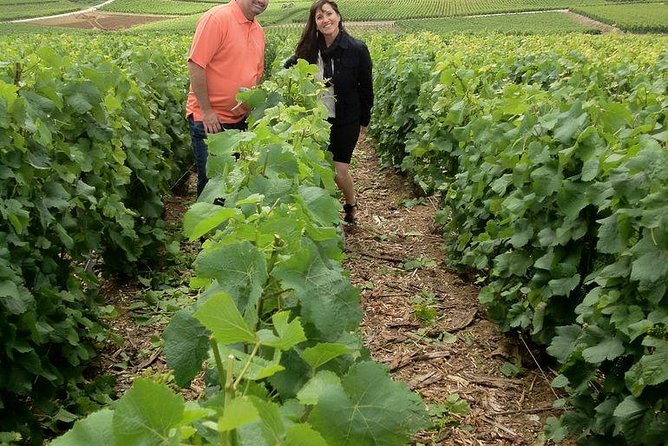 Champagne Area Small-Group Tour including a Top Champagne house & Family Winery - Understanding Champagne before the first glass