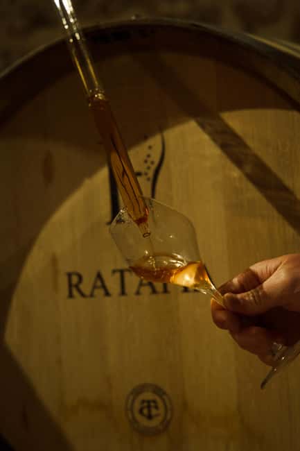 Champagne Cellar Experience: Explore our historic cellars - How Soil and Climate Shape the Cuvées