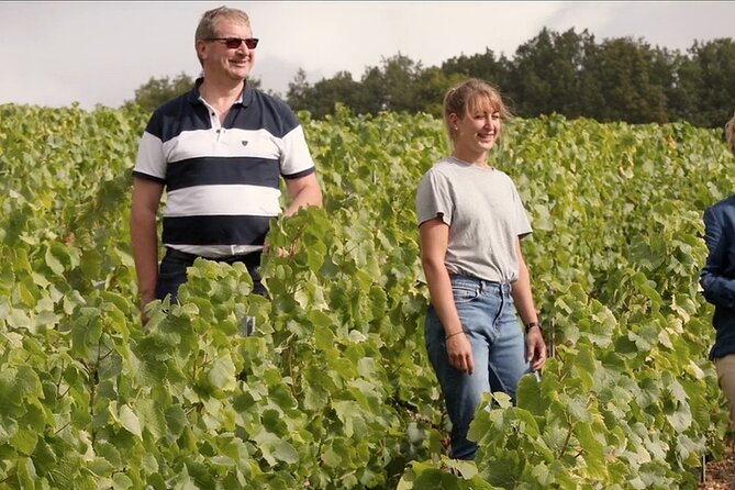 Champagne Cellar tour and tasting - Why these Mareuil-sur-Aÿ cellars matter