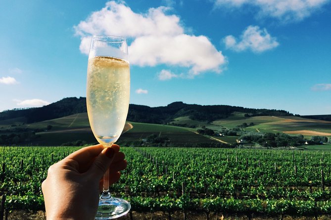 Champagne Cellar tour and tasting - Following the Champagne-making route