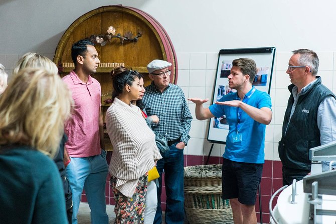 Champagne Day Trip with 6 Tastings, Reims and Winery from Paris - Three glasses and modern production at Nicolas Feuillatte