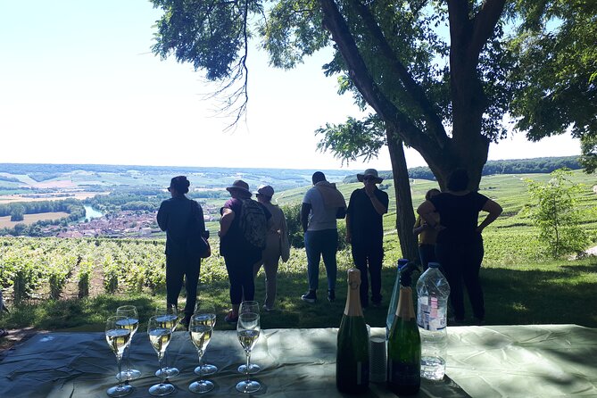 Champagne tasting, panoramic walk in the vineyards - Hautvillers and the birthplace of Champagne