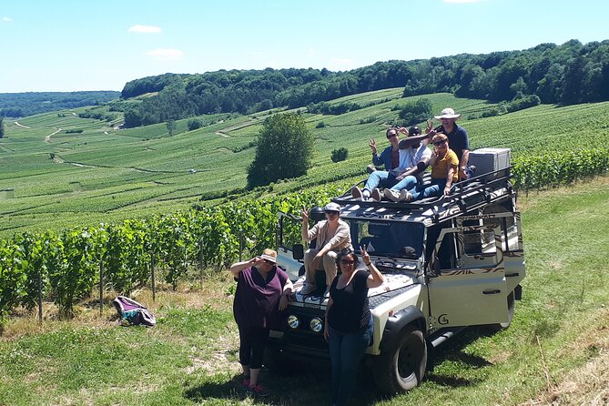 Champagne tasting, panoramic walk in the vineyards - A personal guide rather than a standard script