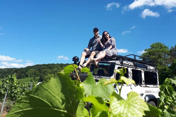 Champagne tasting, panoramic walk in the vineyards - Pickup, timing, and the extra €52