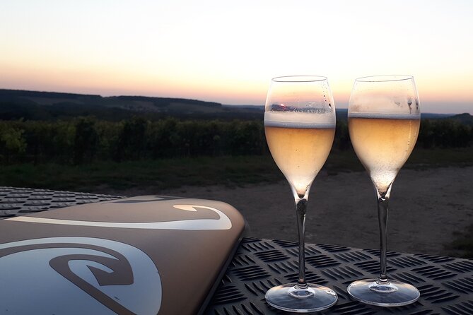 Champagne tasting, panoramic walk in the vineyards - Who will enjoy this two-hour outing