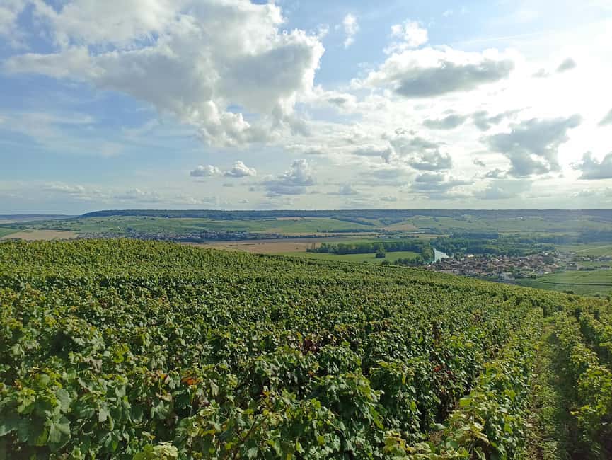 Champagne Tour from Paris Reims Cathedral, Cellars & Tasting - From central Paris to the heart of Champagne