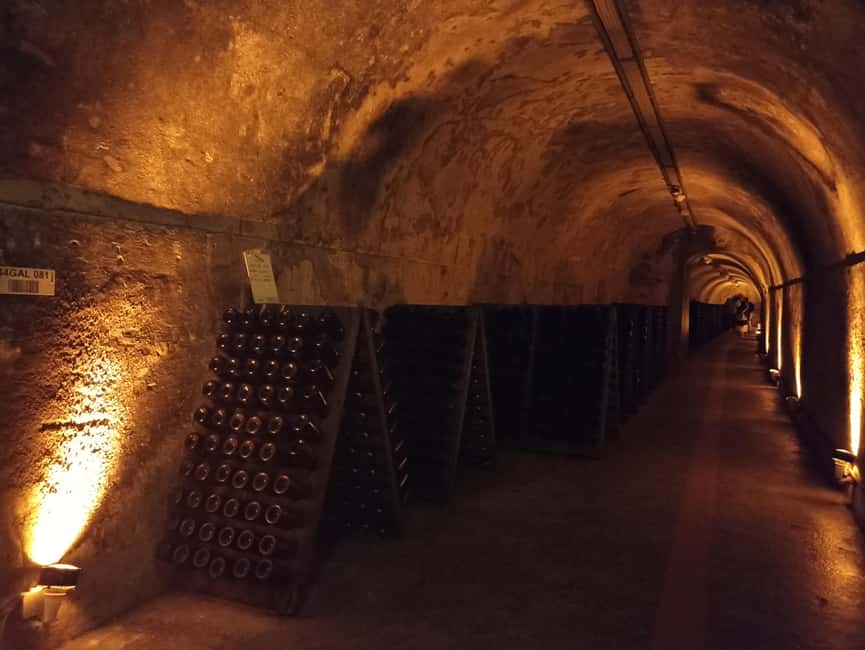 Champagne Tour from Paris Reims Cathedral, Cellars & Tasting - Hautvillers, Dom Pérignon, and a quieter final stop