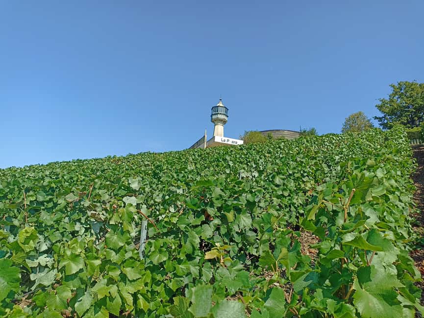Champagne Tour from Paris Reims Cathedral, Cellars & Tasting - Is $199 a fair price?