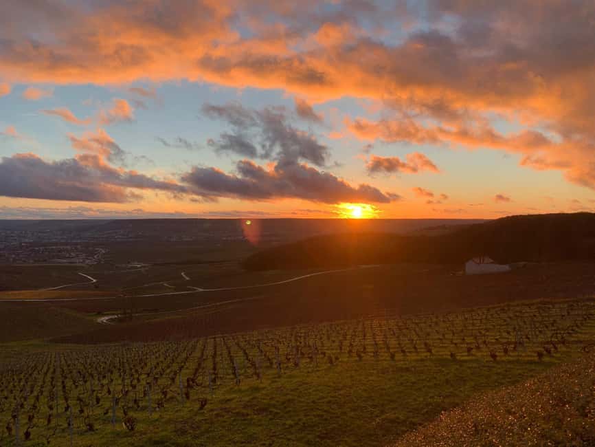 Champagne Tour from Paris Reims Cathedral, Cellars & Tasting - Reims Cathedral and the memory of French royalty