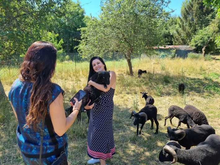 Champagne Vineyard Experience: Delve into the terroir - Seeing the family garden and oldest vines
