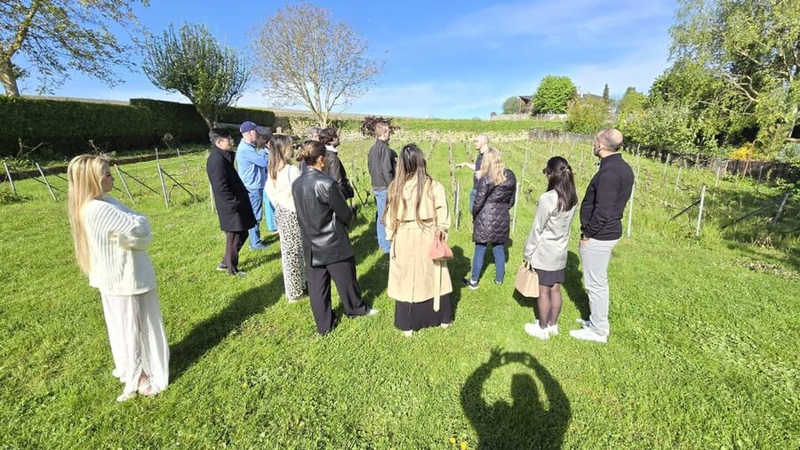 Champagne Vineyard Experience: Delve into the terroir - Who will enjoy Champagne Harlin Père & Fils