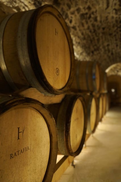 Champagne Vineyard Experience: Delve into the terroir - Small details that make the visit easier
