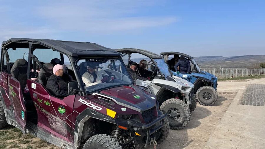 Champagne vineyards: 2-hour guided tour of the vineyards in a Buggy - Riding through Champagne instead of just looking at it