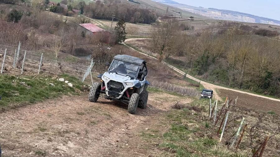 Champagne vineyards: 2-hour guided tour of the vineyards in a Buggy - What the vineyard route teaches you