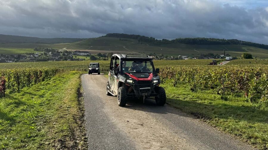 Champagne vineyards: 2-hour guided tour of the vineyards in a Buggy - Driving or riding as a passenger