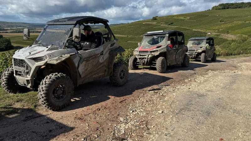 Champagne vineyards: 2-hour guided tour of the vineyards in a Buggy - The final champagne tasting