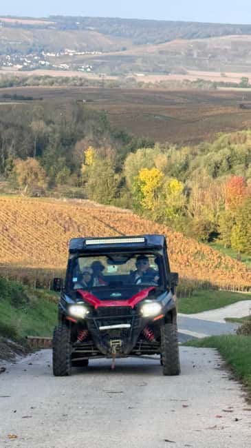 Champagne vineyards: 2-hour guided tour of the vineyards in a Buggy - Adding the €37 champagne picnic