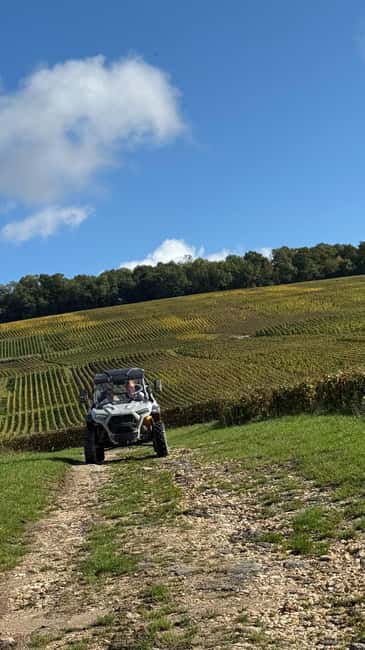 Champagne vineyards: 2-hour guided tour of the vineyards in a Buggy - Should you book the Champagne buggy tour?