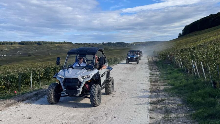 Champagne vineyards: 2-hour guided tour of the vineyards in a Buggy - Meeting Vincent and getting oriented