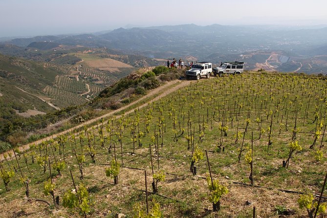Chania Shore Excursion Off Road Vineyard and Winery Tour Half Day - The 660-meter view above Manousakis vineyards