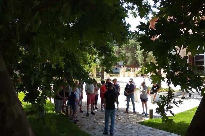 Chania Shore Excursion Off Road Vineyard and Winery Tour Half Day - What the $107.17 price includes