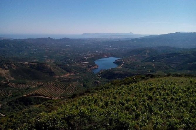 Chania Shore Excursion Off Road Vineyard and Winery Tour Half Day - Timing your port day