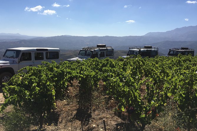 Chania Shore Excursion Off Road Vineyard and Winery Tour Half Day - Who should book this Crete wine tour