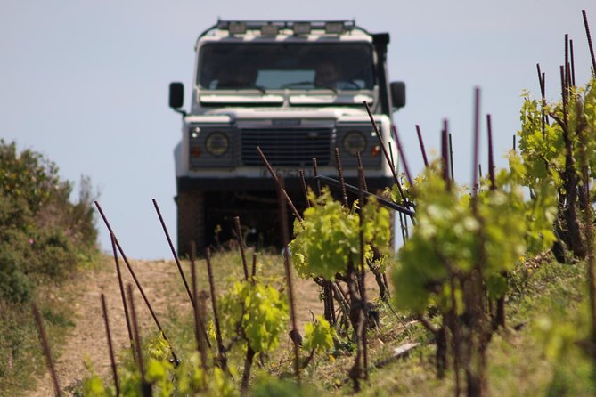 Chania Shore Excursion Off Road Vineyard and Winery Tour Half Day - Should you book the Manousakis off-road winery tour?