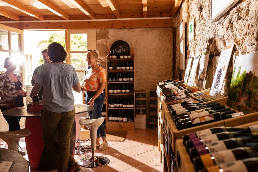Château de Luc: Unique visit and wine tasting - Who should book Château de Luc?