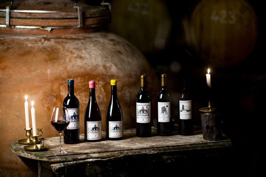 Château de Luc: Unique visit and wine tasting - Going underground to the 14th-century cellar