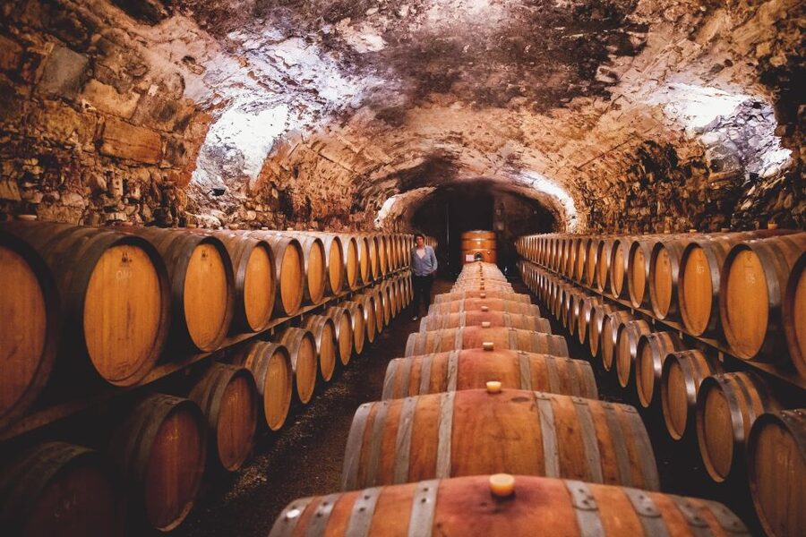 Château de Luc: Unique visit and wine tasting - Understanding the Midi wine story