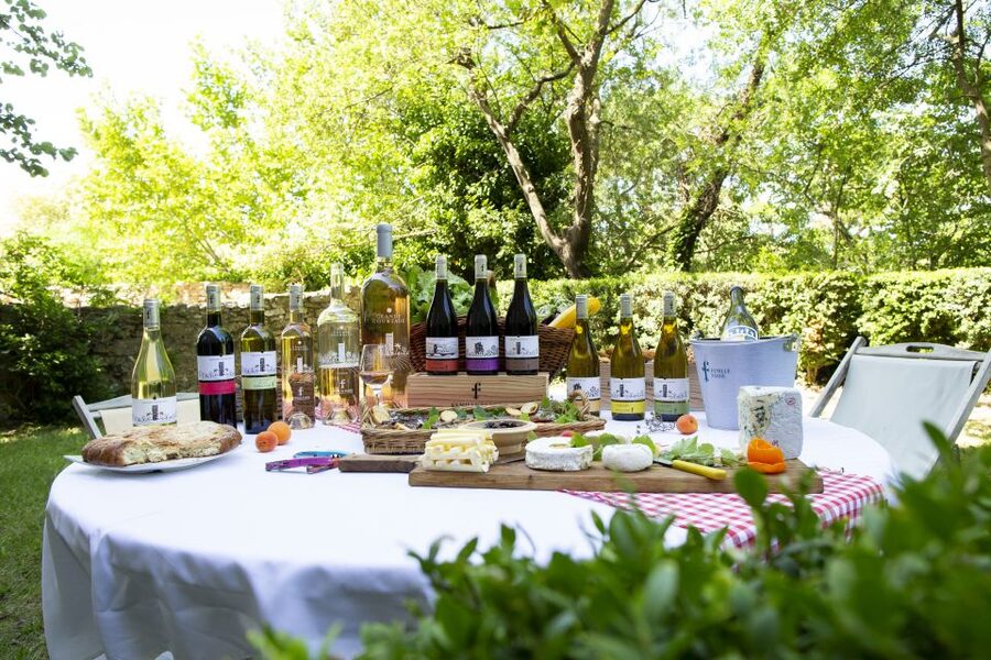 Château de Luc: Unique visit and wine tasting - Starting in the historic rooms of the château
