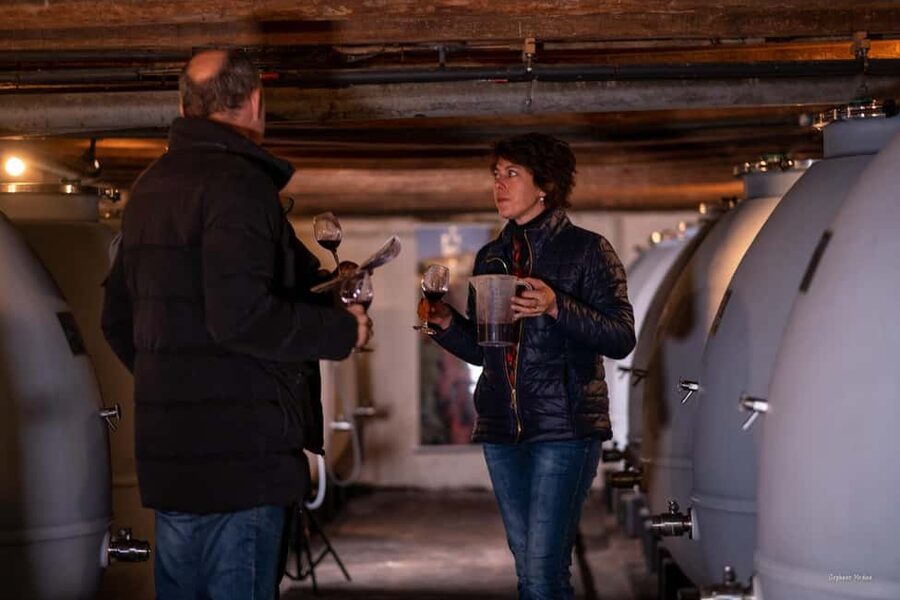 Château de Terride: tour of the wine cellar & wine tasting - Key points at a glance