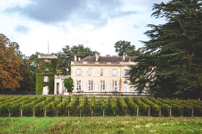 Chateau du Taillan and Park including Wine Tasting Tour - Why Château du Taillan works well for a first Bordeaux wine visit