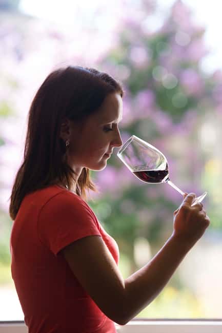 Château Olivier: One Hour Vineyard Tour with Wine Tasting - What the $23 price gives you